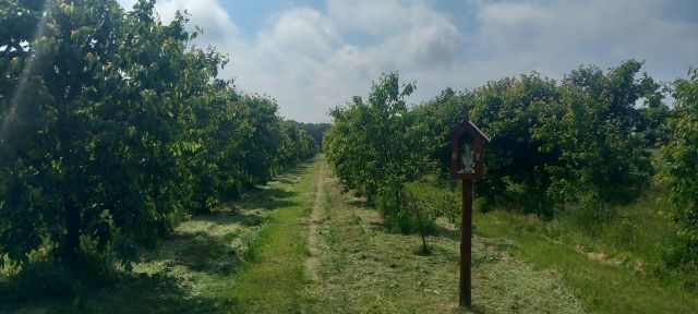 Działka rolna Gostyń. Zdjęcie 1