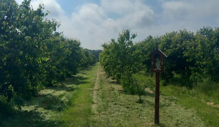 Działka rolna Gostyń
