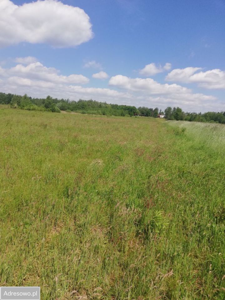 Działka rolno-budowlana Wierzchowiny. Zdjęcie 7