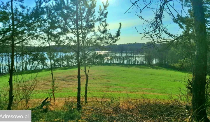 Działka siedliskowa Sieraków