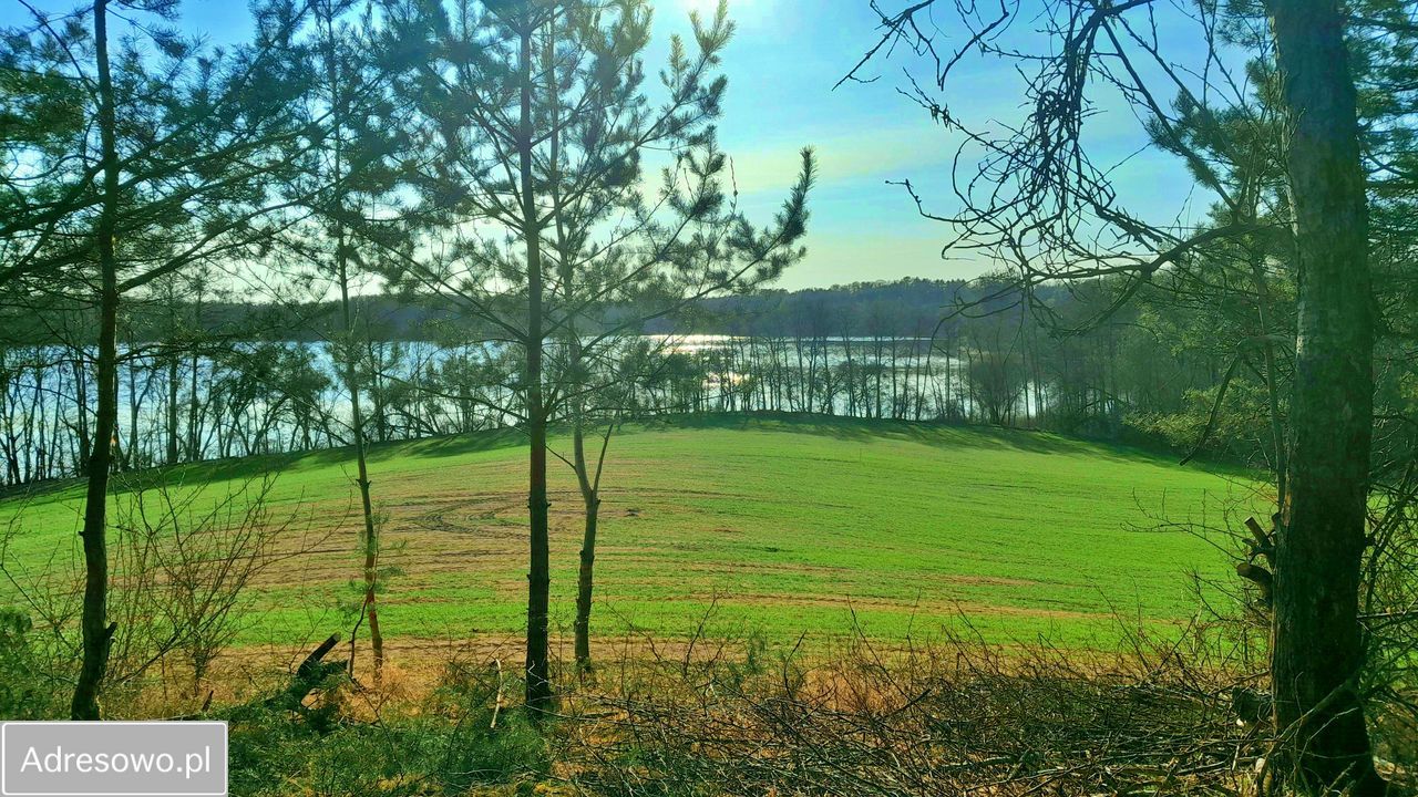 Działka siedliskowa Sieraków
