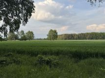 Działka budowlana Przyłuki. Zdjęcie 2