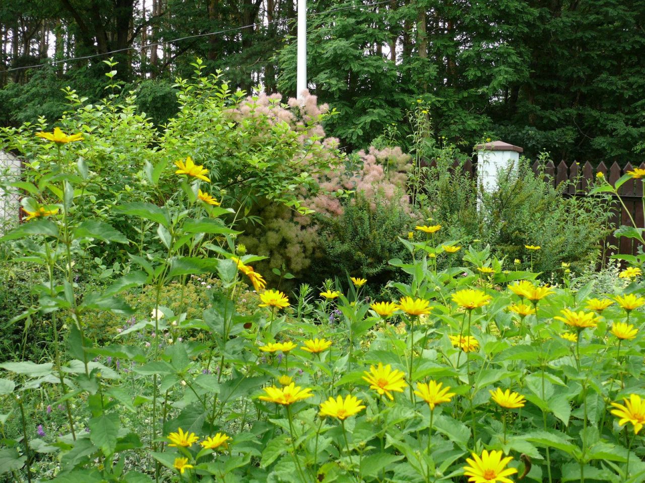 dom wolnostojący, 5 pokoi Długa Szlachecka, ul. Jana Matejki. Zdjęcie 10