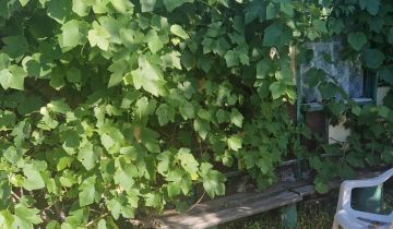 Działka rod Zielona Góra Jędrzychów