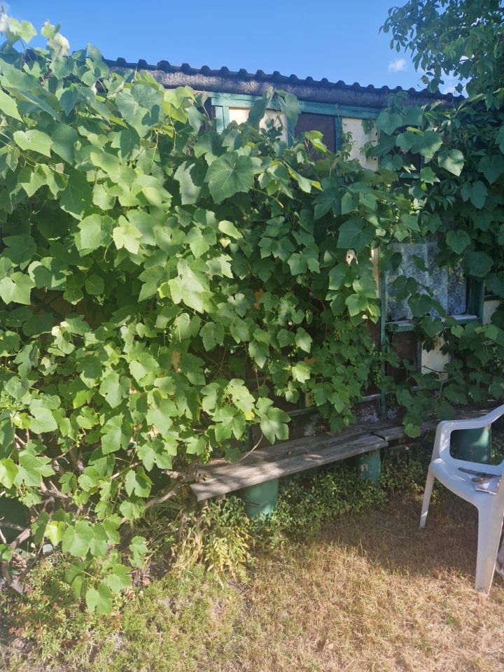 Działka rod Zielona Góra Jędrzychów. Zdjęcie 2