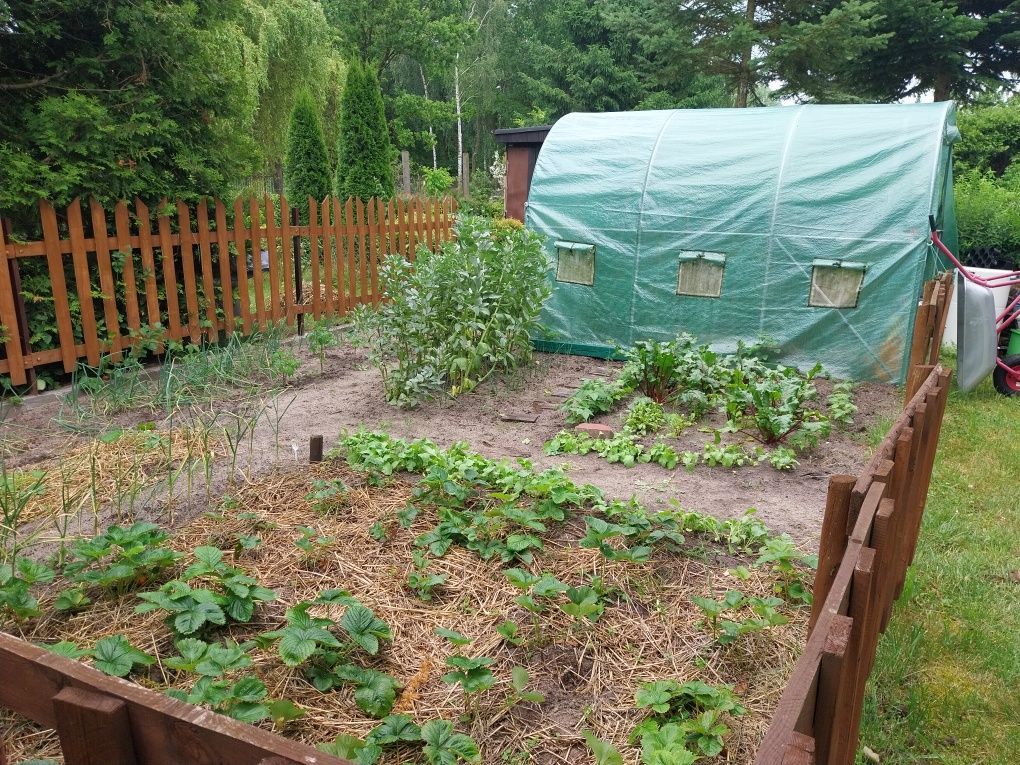 Działka rod Żyrardów. Zdjęcie 6