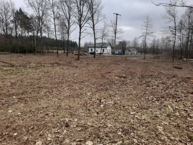 Działka rolno-budowlana Babsk. Zdjęcie 1