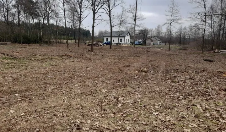 Działka rolno-budowlana Babsk