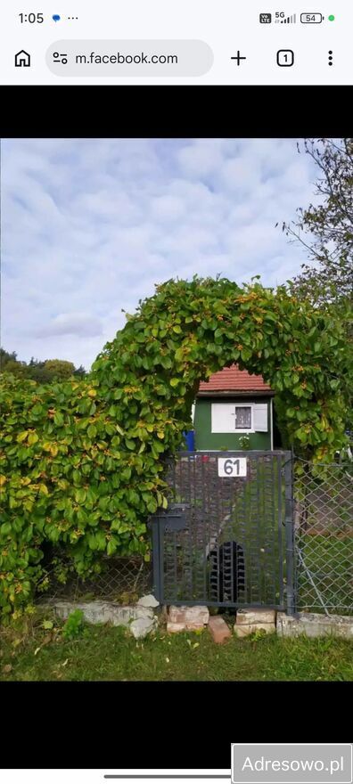 Działka rod Opole. Zdjęcie 5