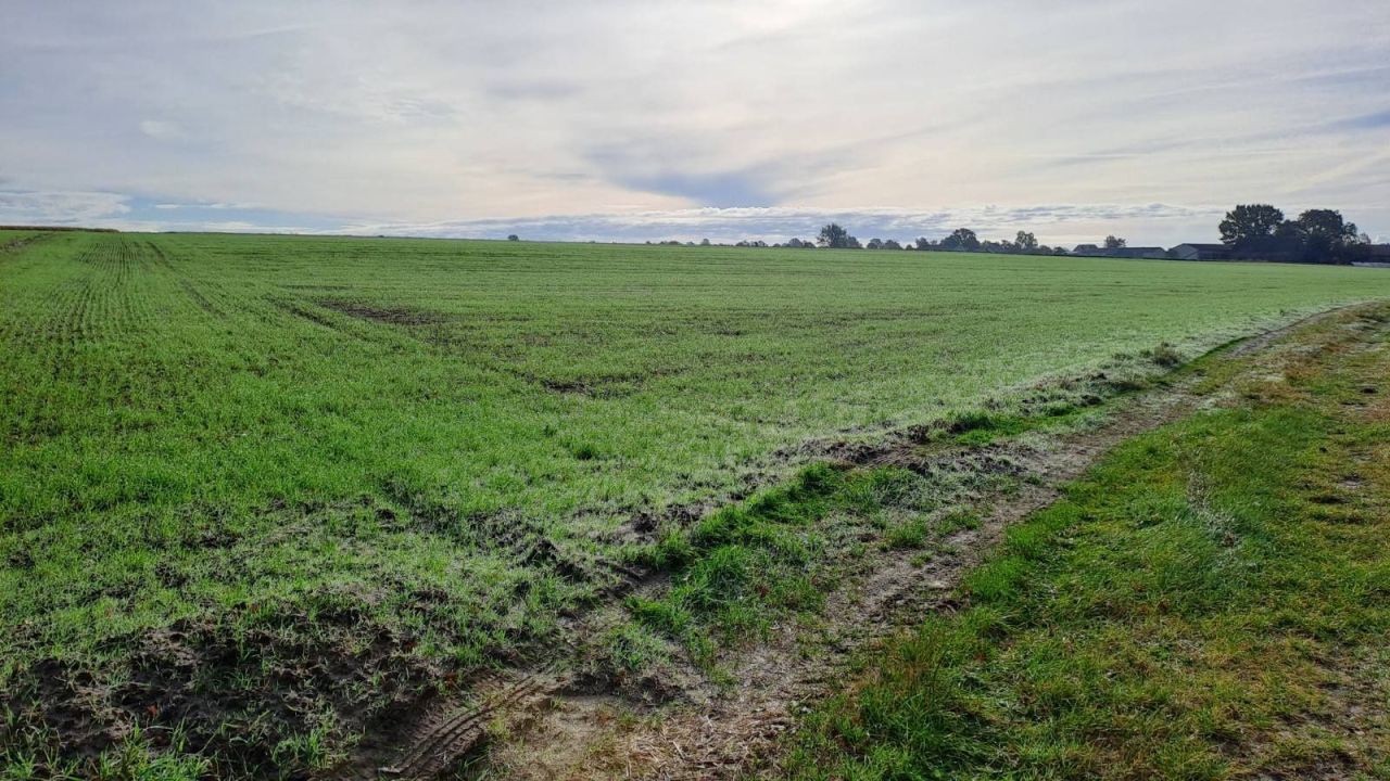 Działka budowlana Dobruchów. Zdjęcie 7