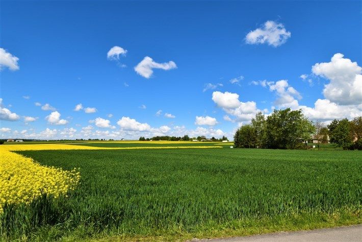Działka siedliskowa Wierzchowiska Wierzchowiska Drugie