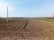 Działka rolno-budowlana Huta Józefów. Zdjęcie 3