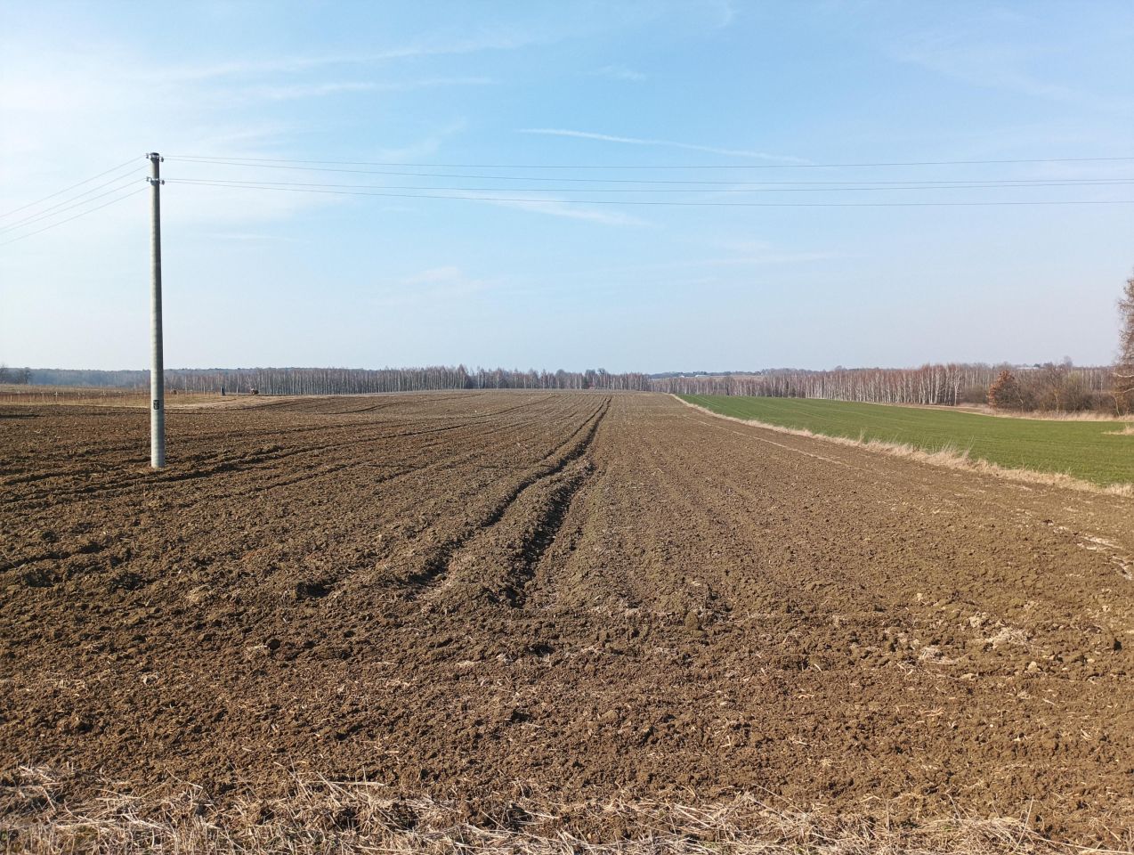 Działka budowlana Huta Józefów. Zdjęcie 3