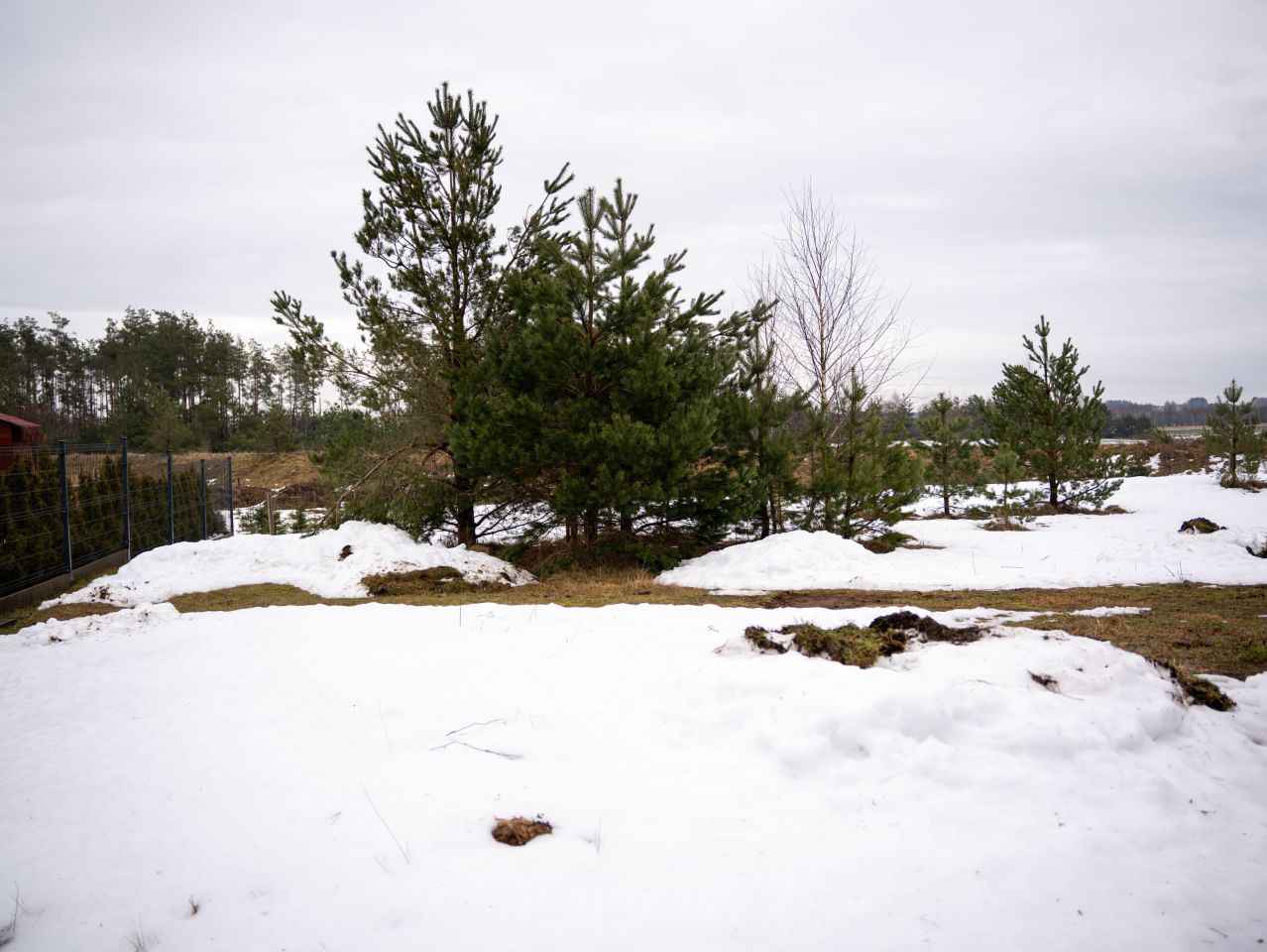 Działka inna Linia, ul. Długa. Zdjęcie 3