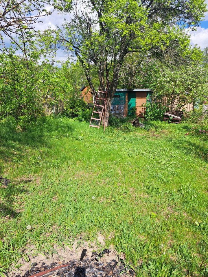 Działka rod Morąg. Zdjęcie 2