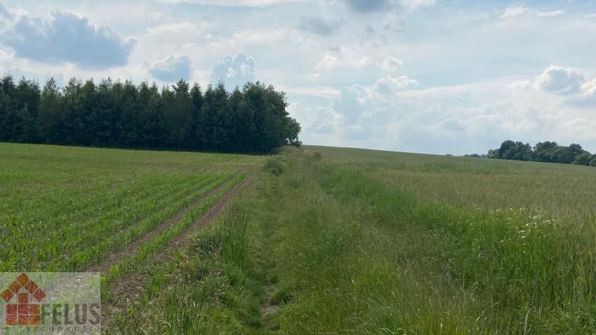 Działka rolna Czułówek. Zdjęcie 4