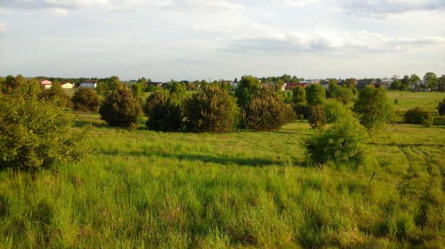 Działka budowlana Dąbrowa Zielona. Zdjęcie 1