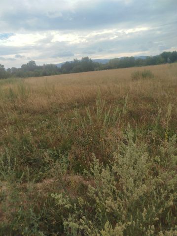 Działka budowlana Dzierżoniów, ul. Widokowa. Zdjęcie 1