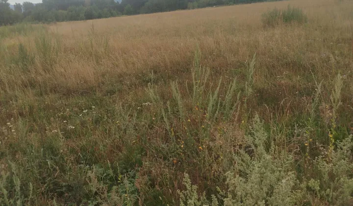 Działka budowlana Dzierżoniów, ul. Widokowa