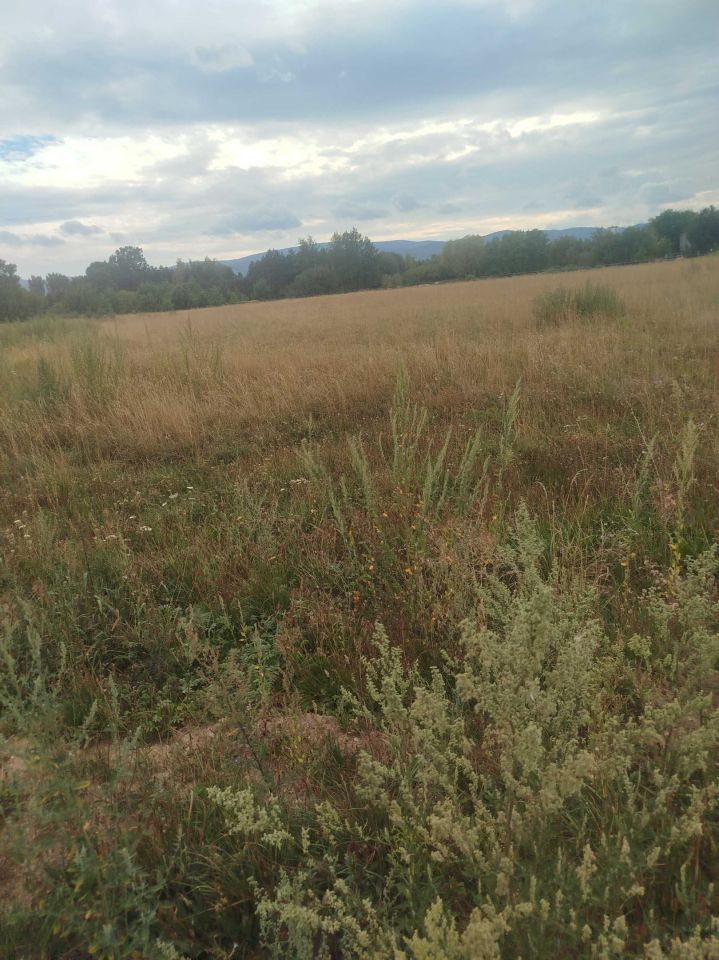 Działka budowlana Dzierżoniów, ul. Widokowa. Zdjęcie 1