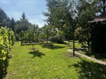 Działka rod Wrocław Klecina, ul. Wałbrzyska. Zdjęcie 3
