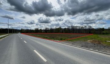 Działka inwestycyjna Międzyrzecze Dolne