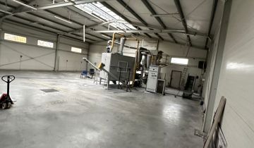 Hala/magazyn Tarnobrzeg Nagnajów, ul. Strefowa