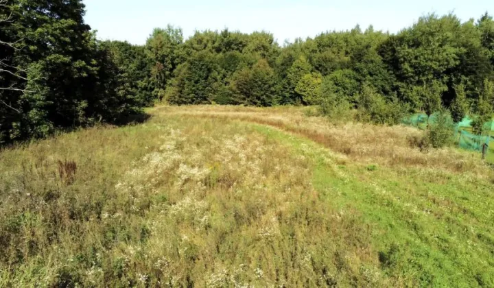 Działka budowlana Wysoka Wieś