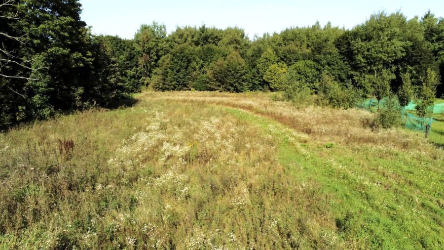 Działka budowlana Wysoka Wieś. Zdjęcie 1