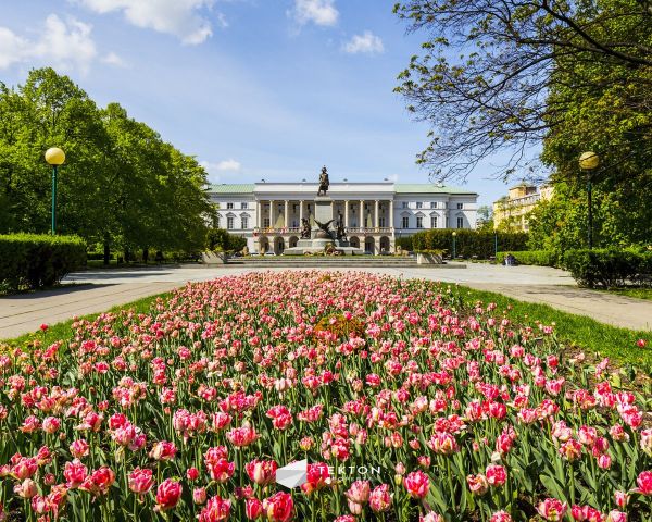 Mieszkanie 3-pokojowe Warszawa Śródmieście, ul. Grzybowska. Zdjęcie 9