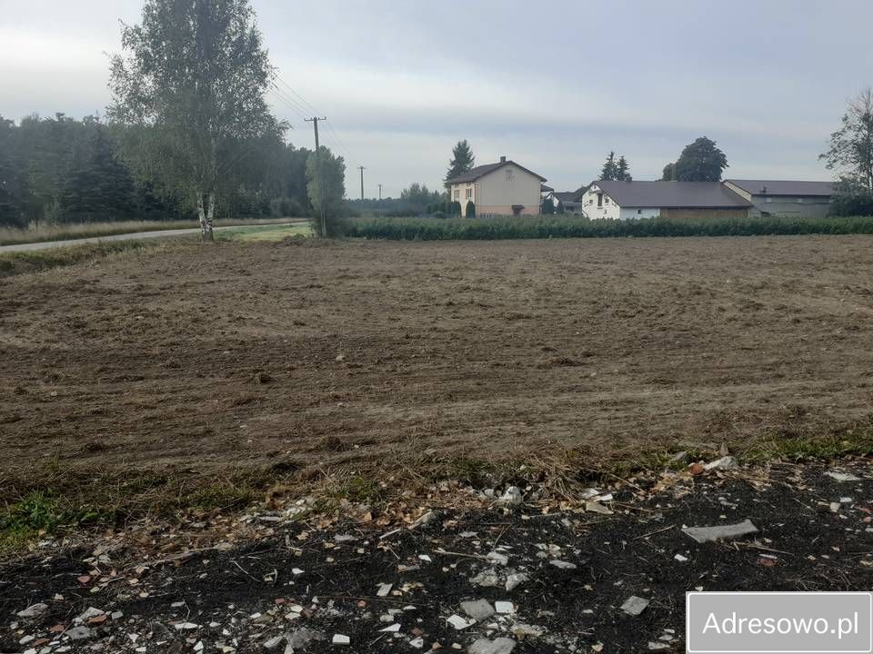 Działka rolna Biała Wieś. Zdjęcie 3