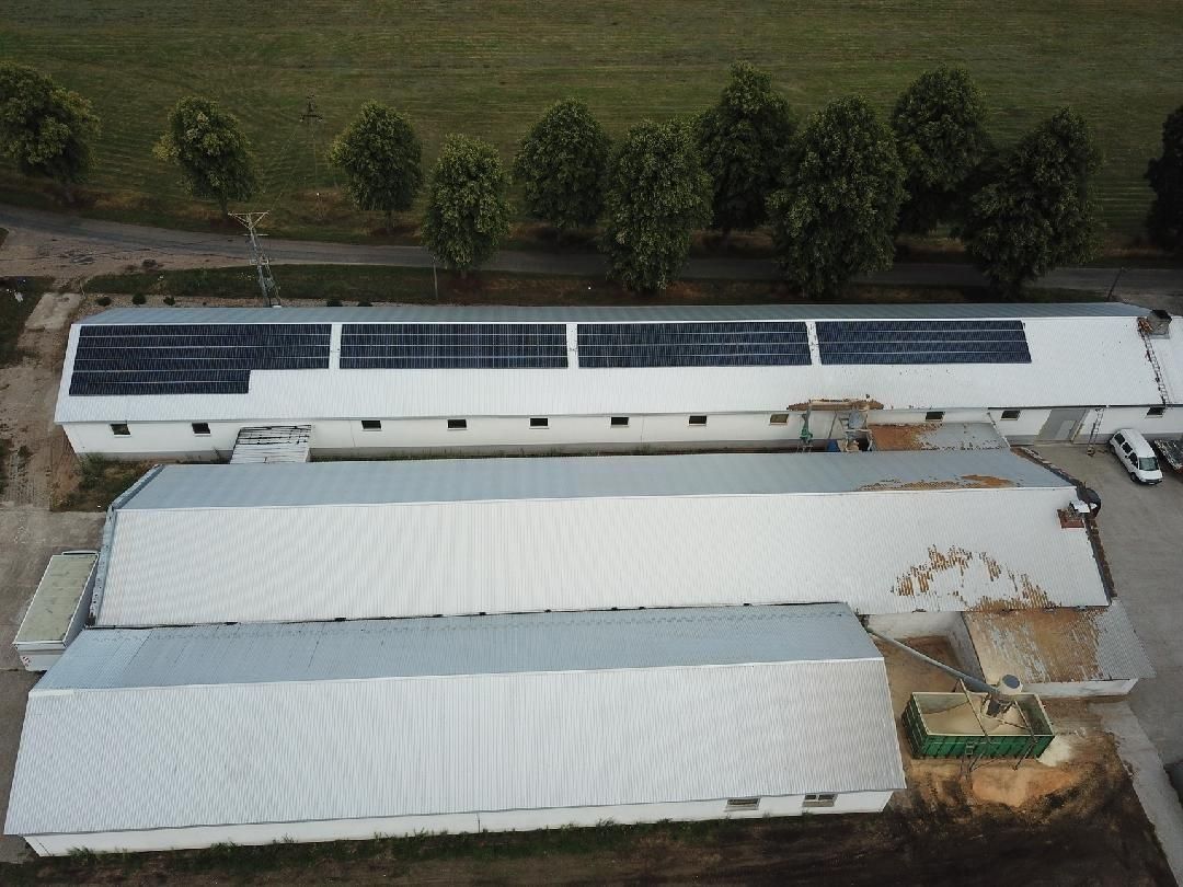 Hala/magazyn Stare Ślepce. Zdjęcie 32