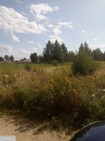 Działka budowlana Połchowo, ul. Spokojna. Zdjęcie 1