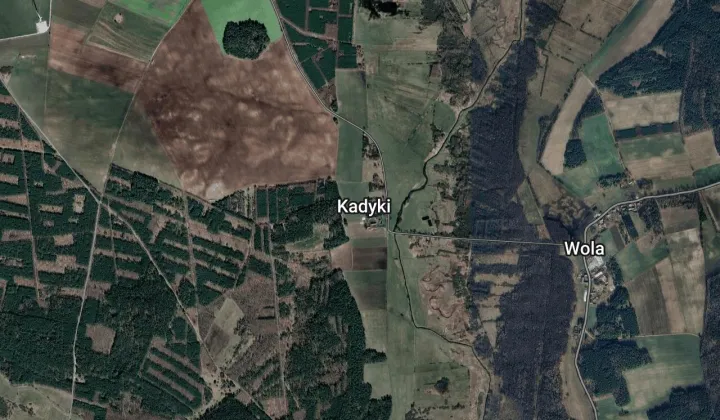 Działka leśna Kadyki