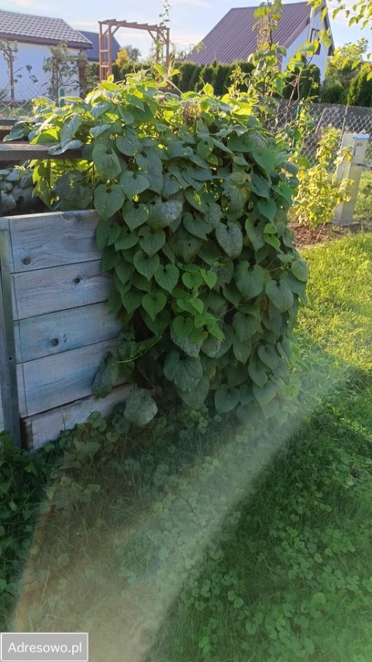 Działka rod Barany, ul. Żwirowa. Zdjęcie 7