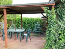 Działka rod Września, ul. Działkowców. Zdjęcie 1