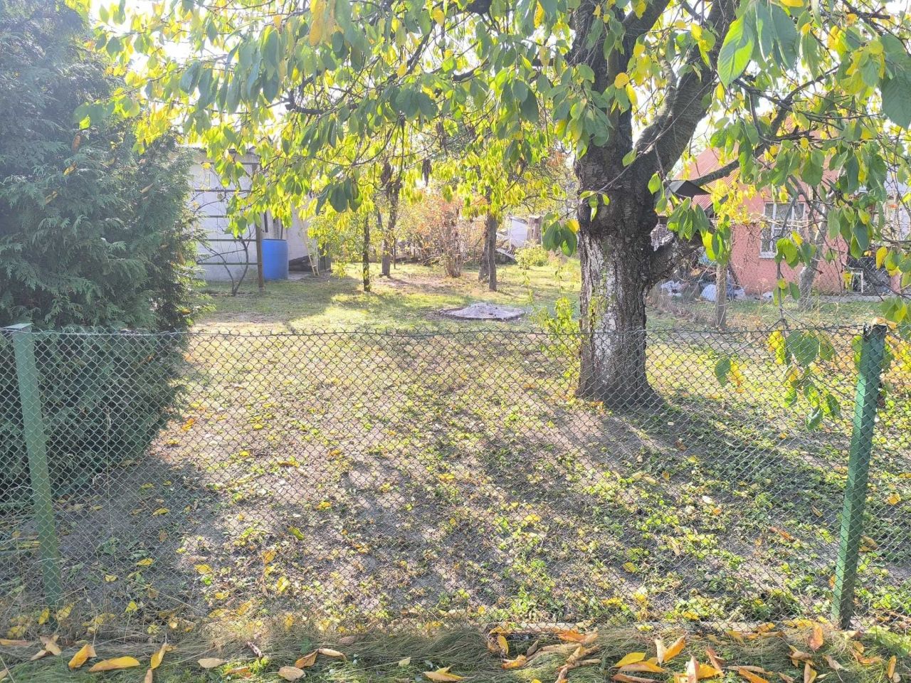 Działka rod Jelcz-Laskowice. Zdjęcie 5