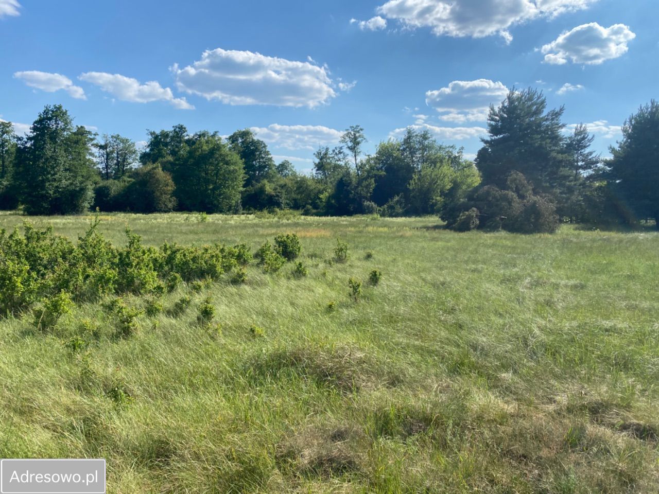 Działka siedliskowa Dobrzyniec. Zdjęcie 12