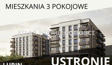 Mieszkanie 3-pokojowe Lubin