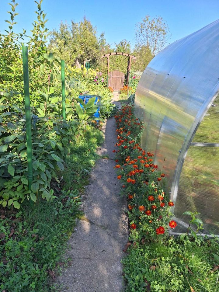 Działka rod Kowary. Zdjęcie 4