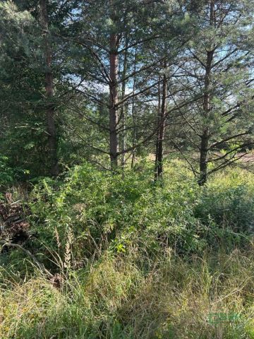 Działka inna Mysłowice Wesoła, ul. 11 Listopada. Zdjęcie 2