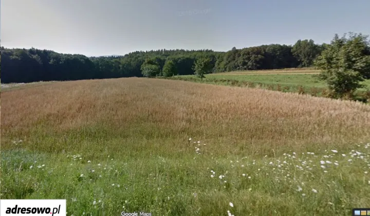 Działka budowlana Izdebnik, ul. Dworska