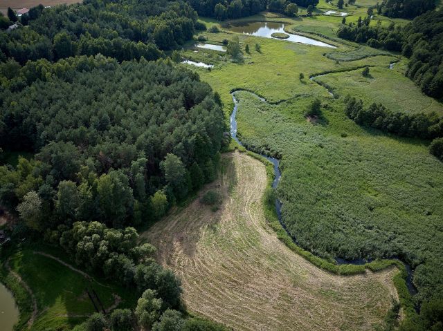 dom wolnostojący, 8 pokoi Siekierka Stara, Siekierka Stara. Zdjęcie 9