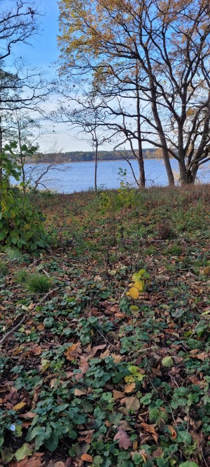 Działka budowlana Gudowo. Zdjęcie 3