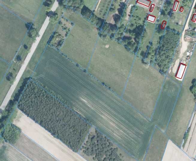 Działka rolna Knorydy. Zdjęcie 1