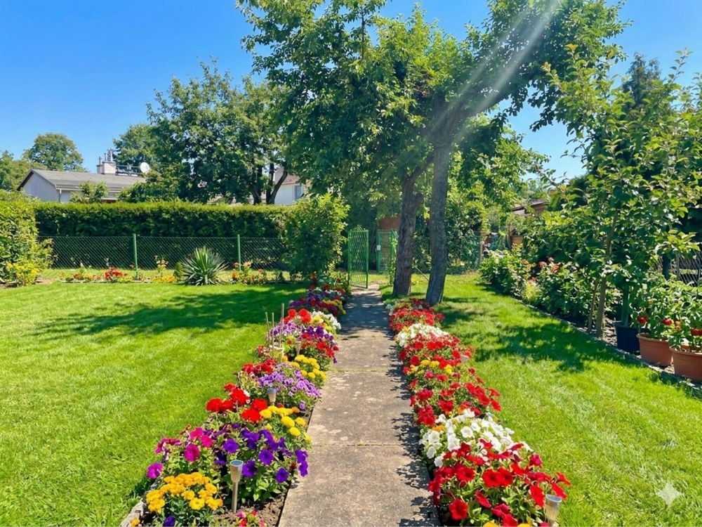 Działka rod Mielec. Zdjęcie 8