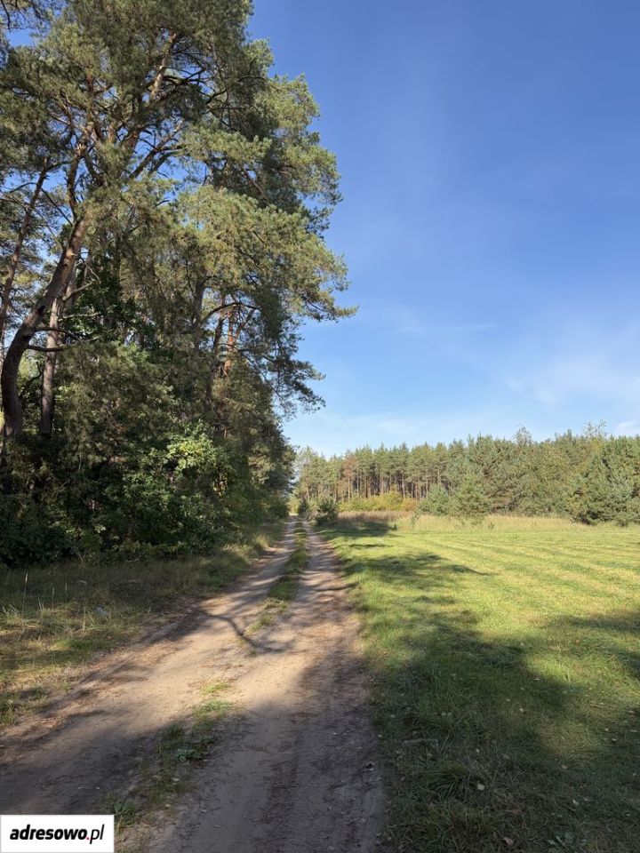 Działka rolna Chorzele. Zdjęcie 7