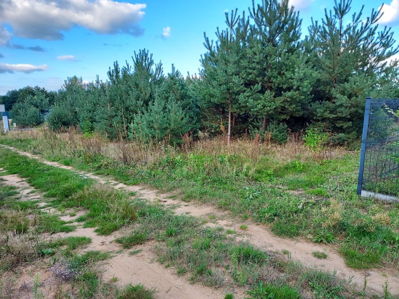 Działka budowlana Marżynek. Zdjęcie 3