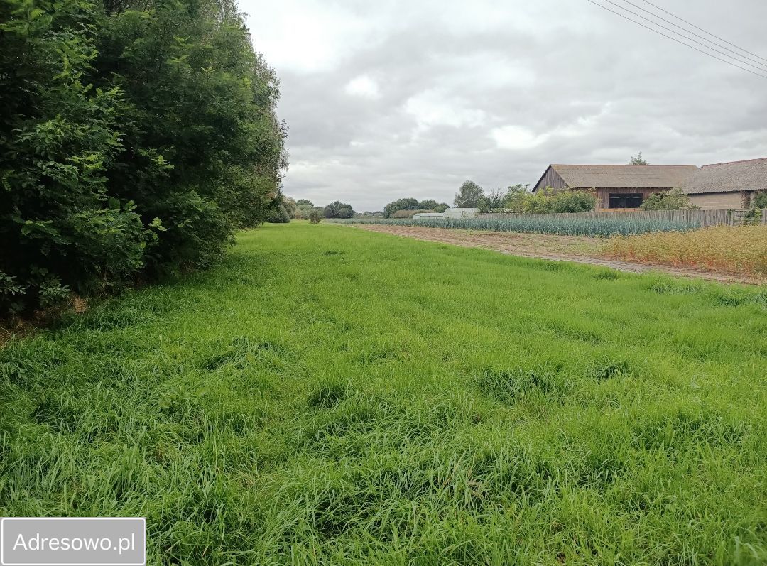 Działka rolna Wilczkowice Dolne. Zdjęcie 7