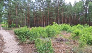 Działka budowlana Osiek nad Wisłą, ul. Wiślana